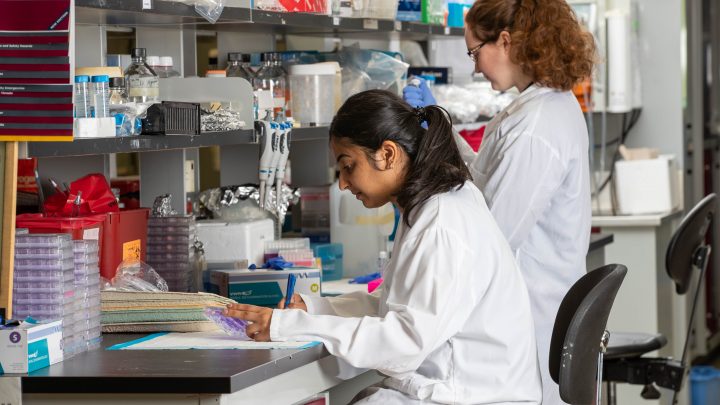 Female Students in Lab working on reports